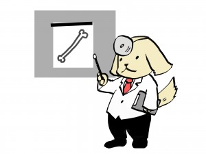 犬の医者